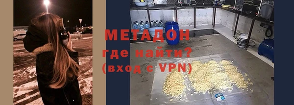 индика Богданович