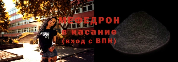 индика Богданович