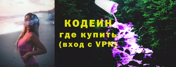 индика Богданович