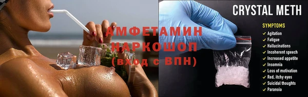 индика Богданович