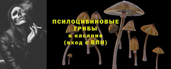 прущие крисы Богородск