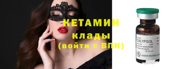 индика Богданович