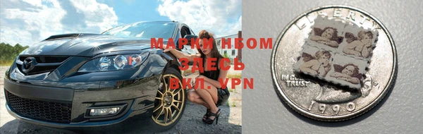 индика Богданович