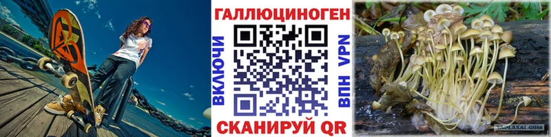 МЕГА ссылки Козельск Псилоцибиновые грибы Magic Shrooms